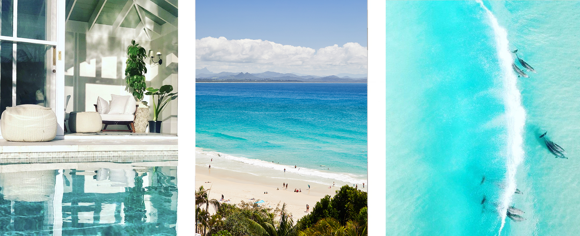 The Cape — pool, Wategos Beach and dolphins