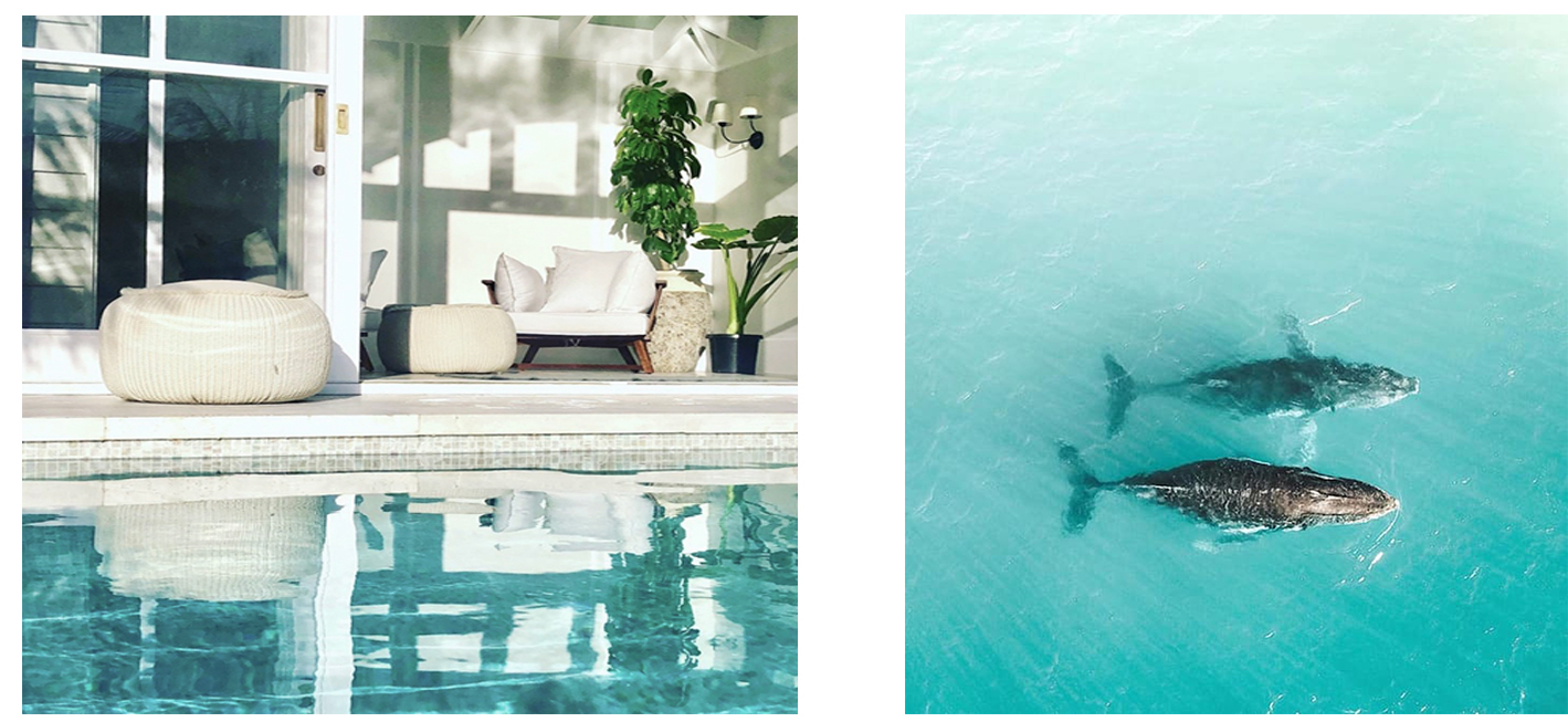 Infinity pool and whales off Wategos Beach